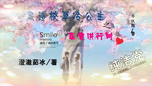 小龙女不女微盘